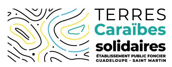 LE BAIL RÉEL SOLIDAIRE